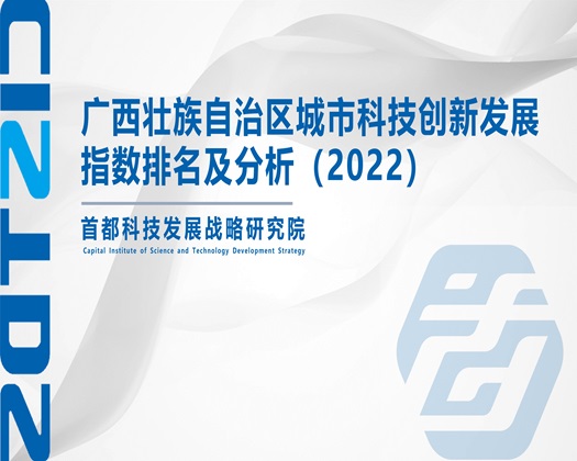 我好想要自慰小视频【成果发布】广西壮族自治区城市科技创新发展指数排名及分析（2022）